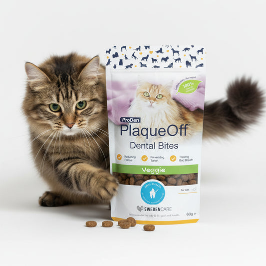 PlaqueOff Dental Bites Cat 60g