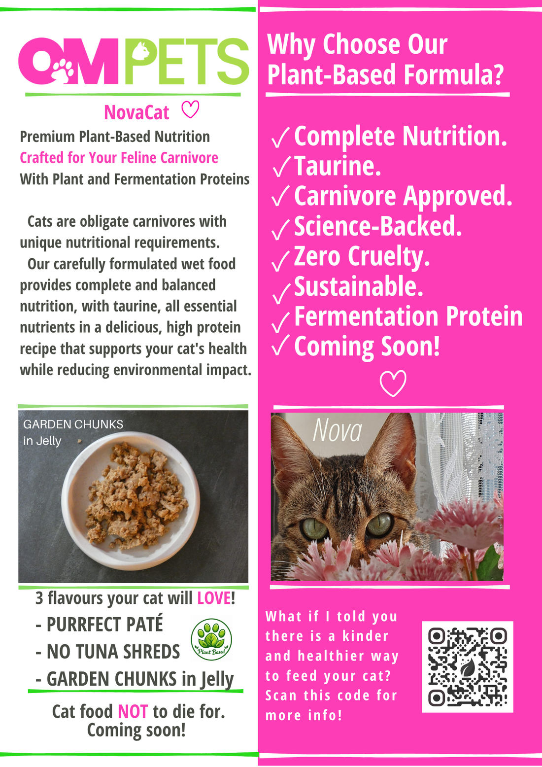 Simple Steps to Transition Your Cat to Plant-Based Food