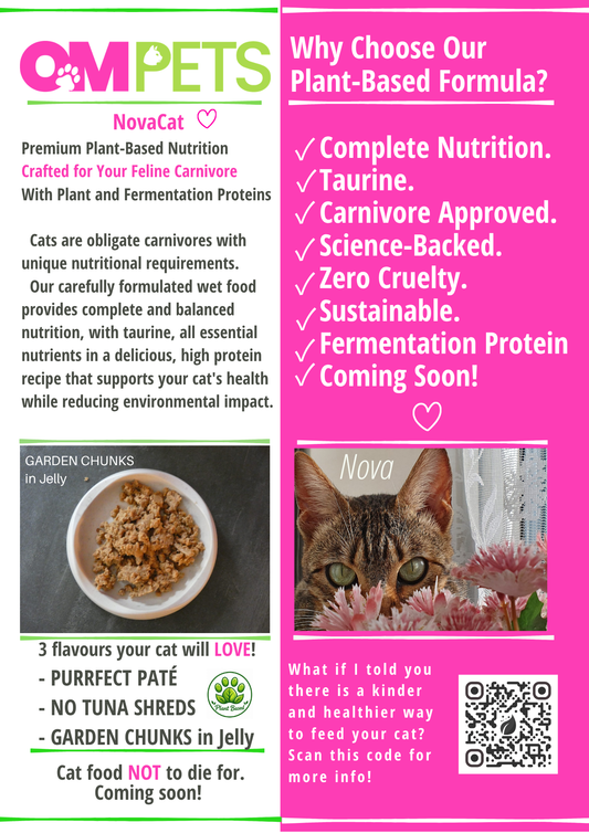 Simple Steps to Transition Your Cat to Plant-Based Food