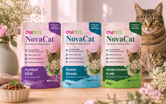 NovaCat Is Nearly Here: The World’s First Complete Wet Cat Food Made with Microbial Protein