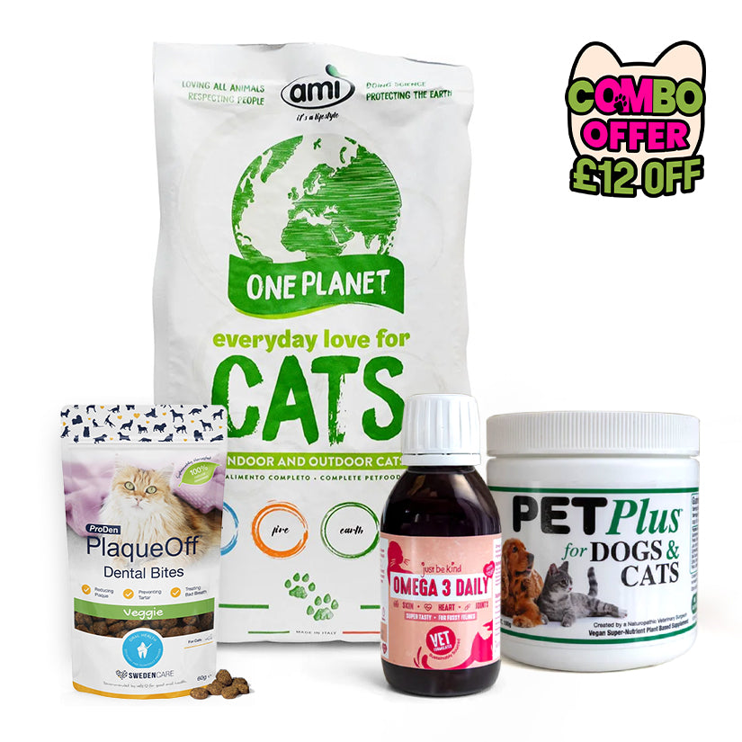 The Purrfect Start Bundle
