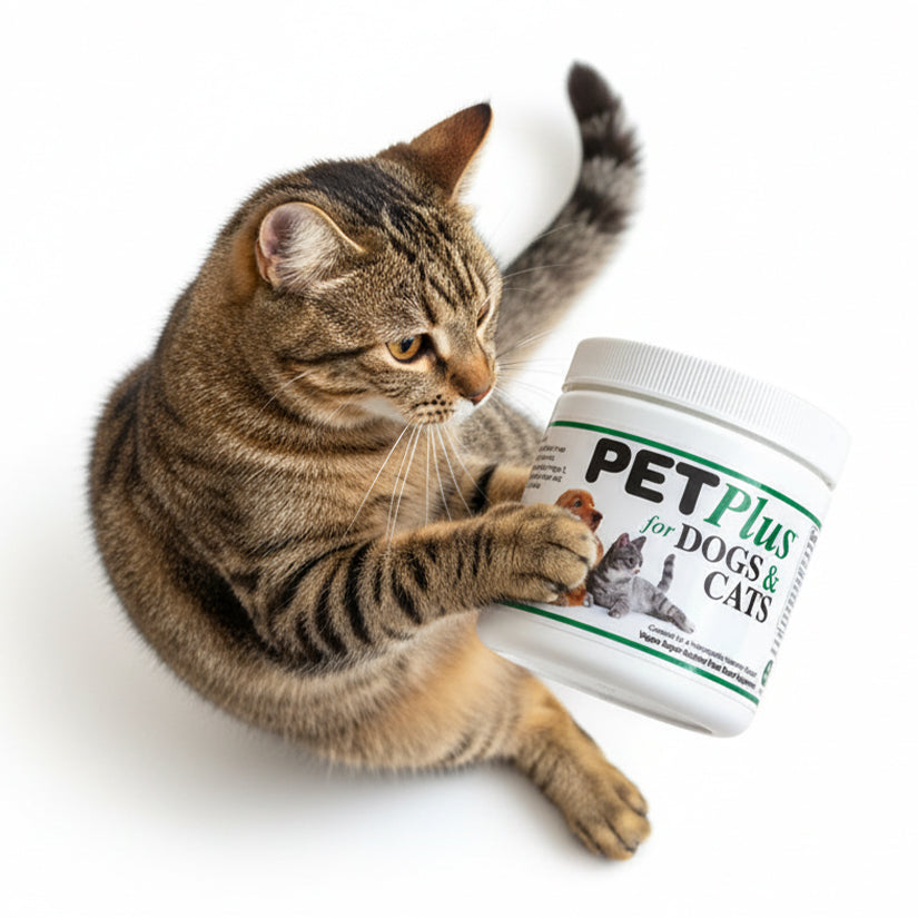 Pet Plus Taurine Supplement 100g