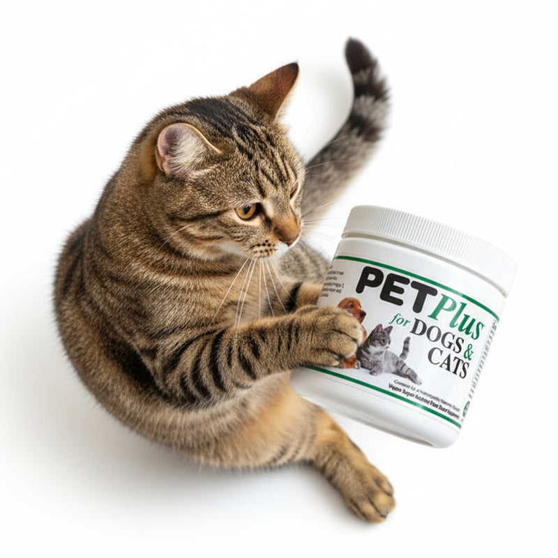 Pet Plus Taurine Supplement 100g