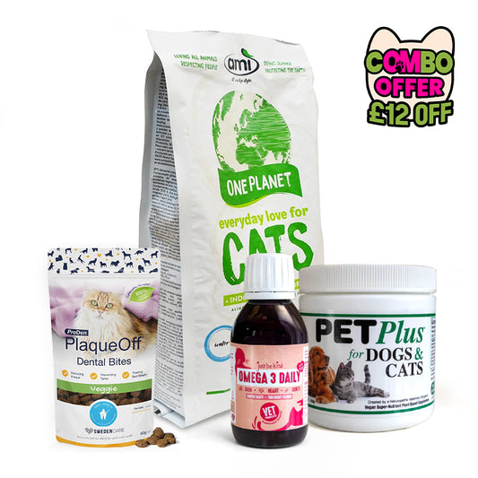 The Purrfect Start Bundle