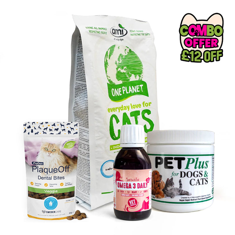 The Purrfect Start Bundle