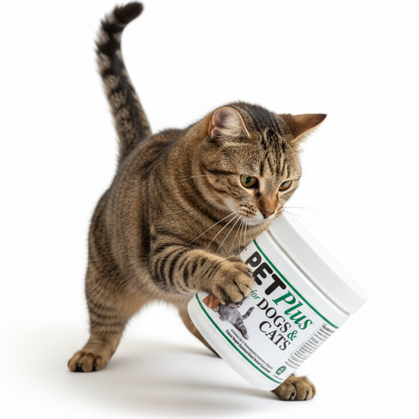 Pet Plus Taurine Supplement 100g