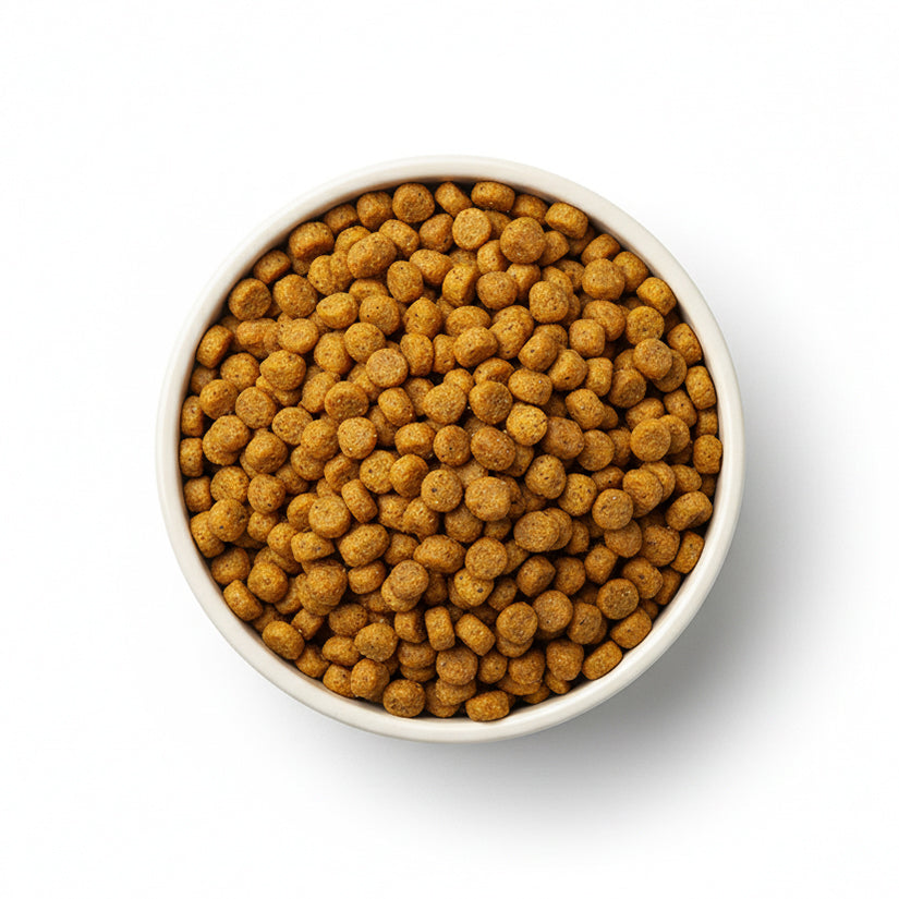 AMI Vegan Cat Food 7.5kg on sale - best price in UK
AMI 7.5kg vegan cat food - save £15