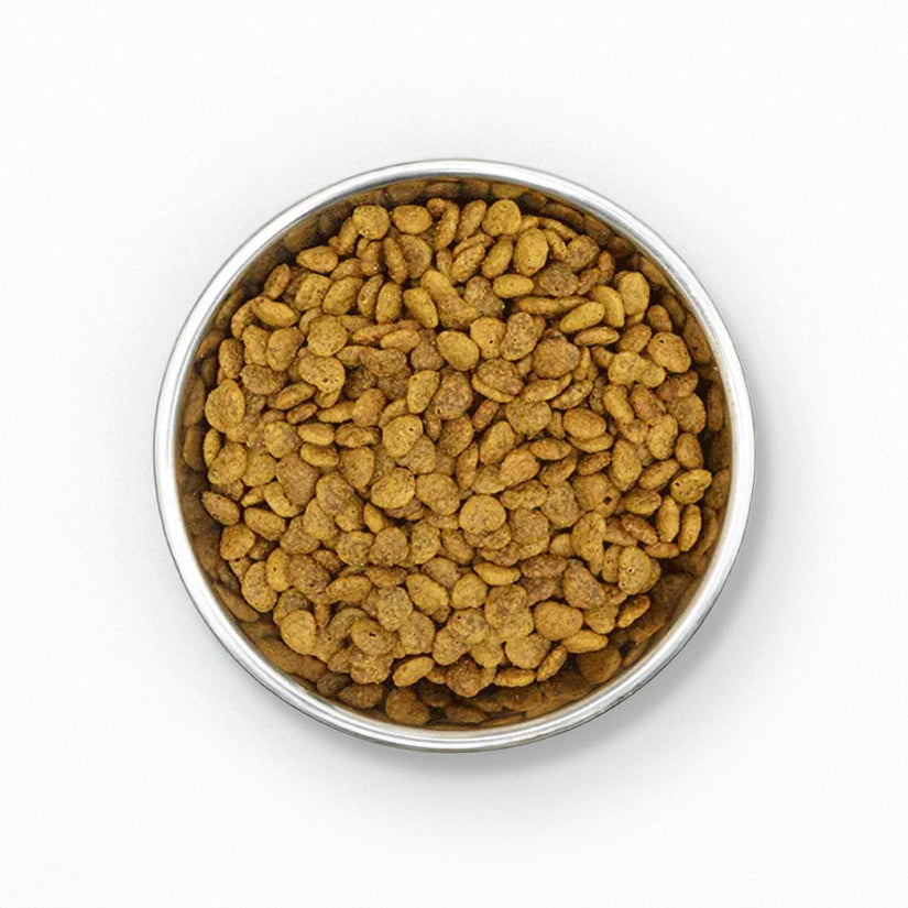 BENEVO Vegan Cat Food 2KG