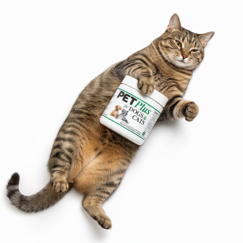 Pet Plus Taurine Supplement 100g