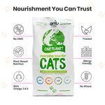 AMI vegan dry cat food kibble for adult cats
