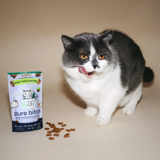 VegCat Pure Bites Vegan Cat Treats 60g