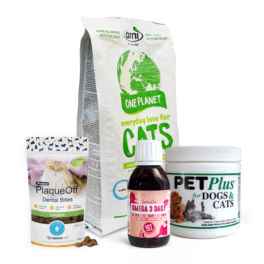 The Purrfect Start Bundle